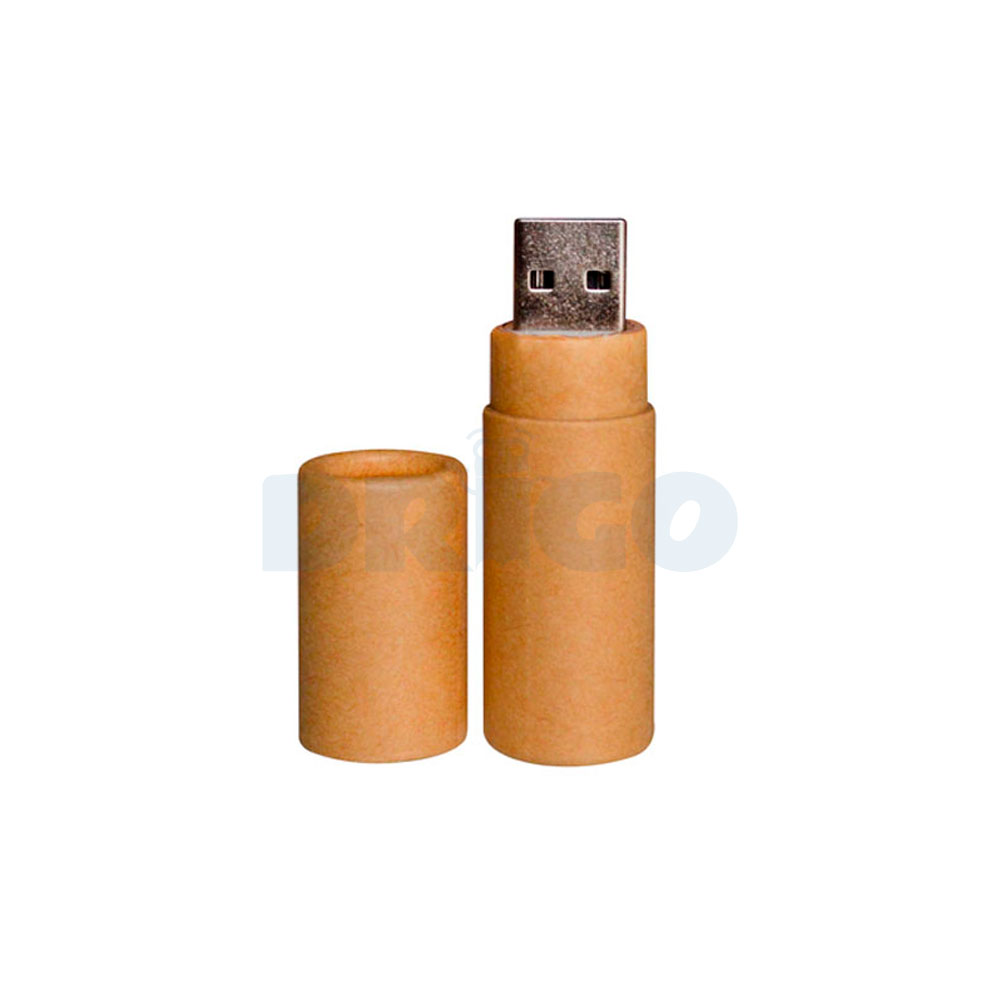 Memoria de Cartón USB Ecológico 4 GB